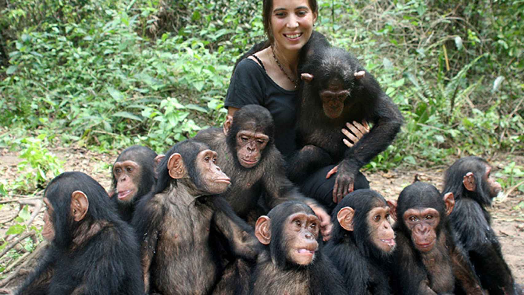Rebeca Atencia con chimpancés bebés.