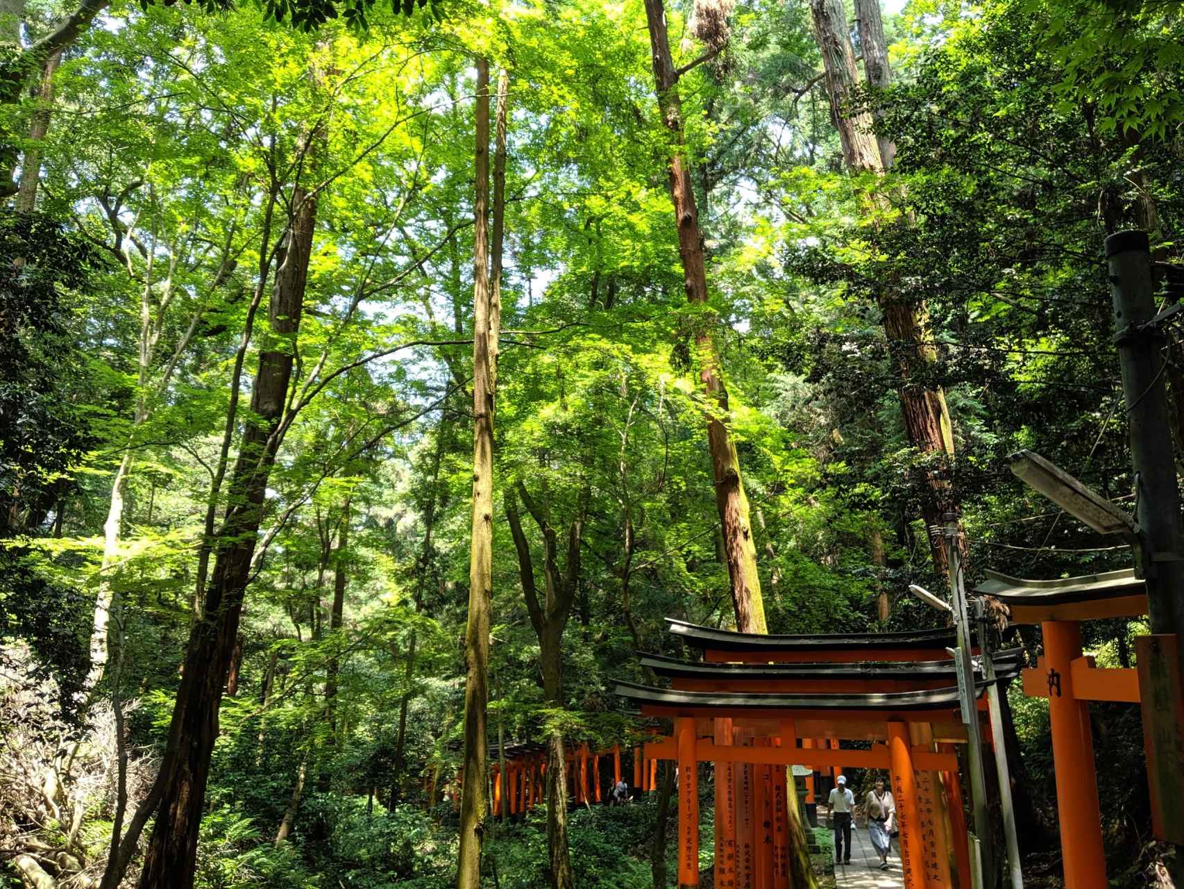 Templo Fushimi Inari en Kioto