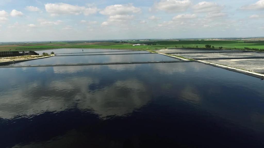 Balsa de agua en una de las fincas de Ángel Camacho Alimentación.