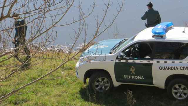 Zamora guardia civil rescate cigueña (1)