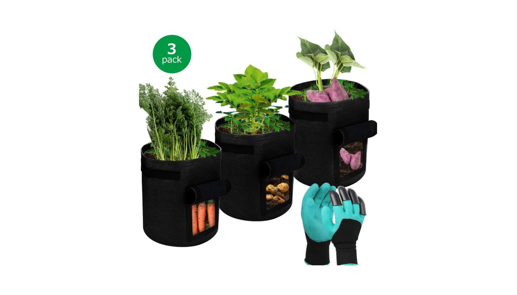 Bolsas de cultivo