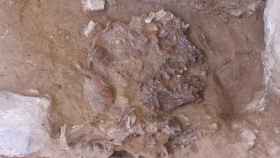 El cráneo del adulto neandertal hallado en el kurdistán iraquí.