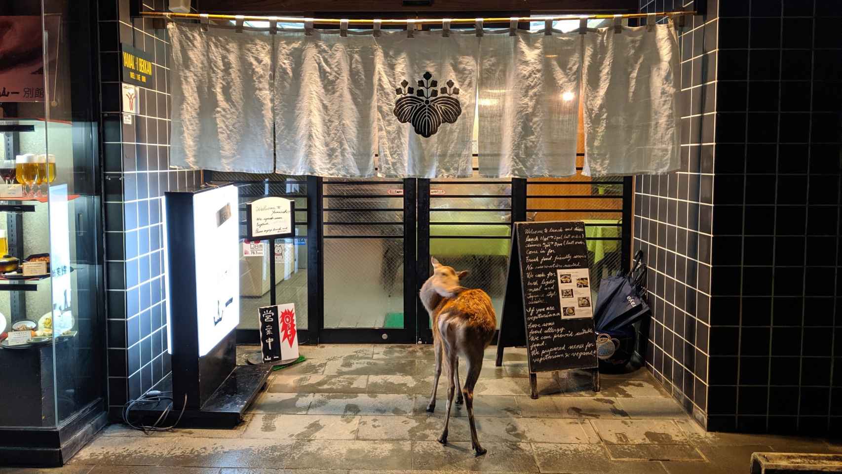 Un ciervo espera a la entrada del ryokan