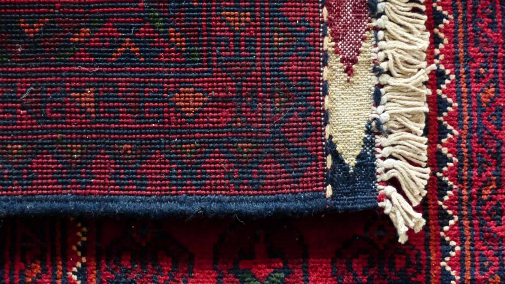 Cómo limpiar alfombras y librarte de los cultivos de bacterias