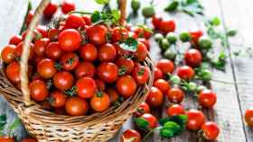 Cómo plantar tomates cherry en casa: consejos y productos