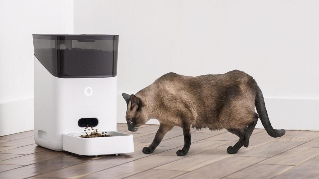 smart pet feeder