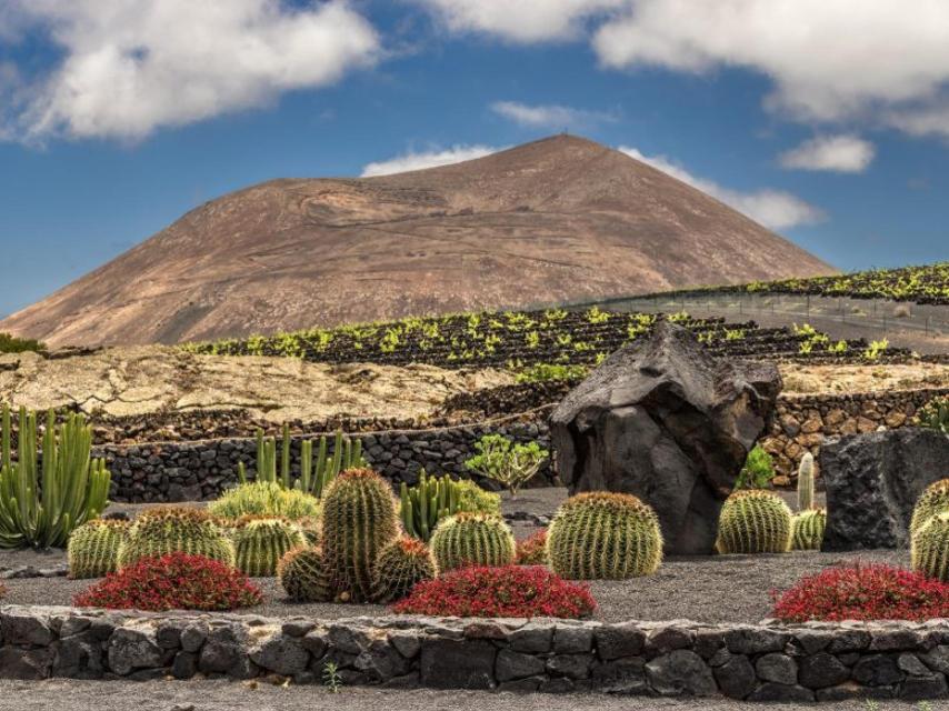 Bodega El Grifo (Lanzarote).