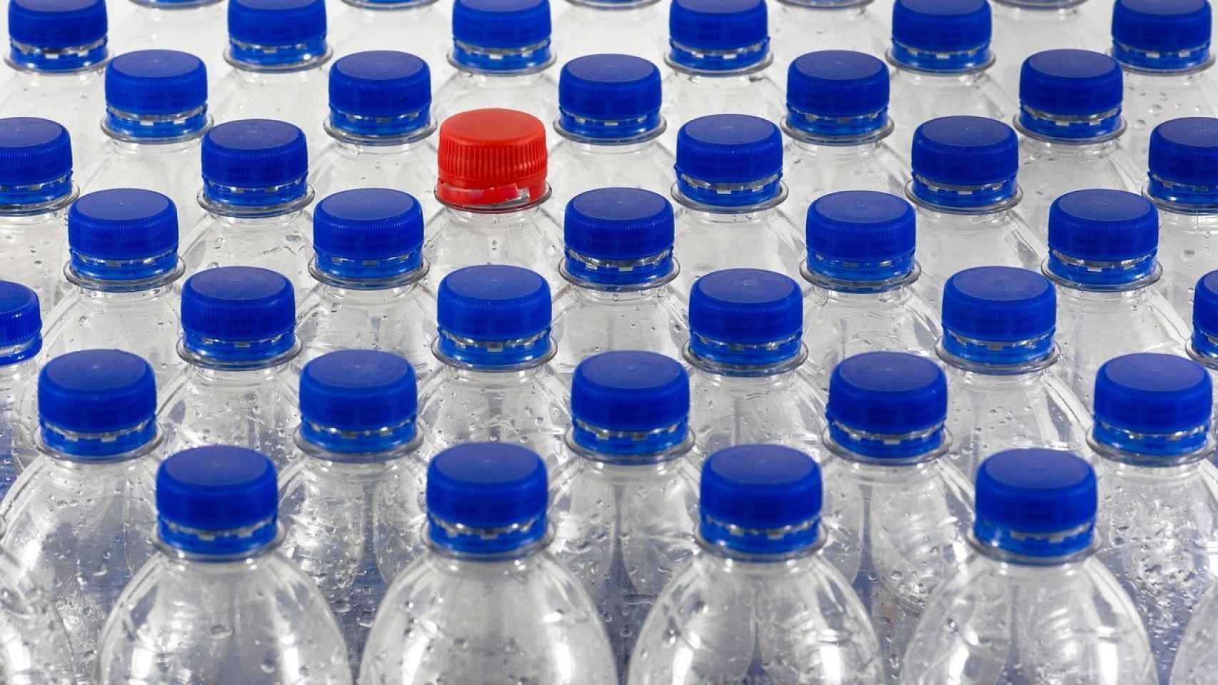 El reciclaje funciona: las botellas de plástico pueden convertirse en papel  fotodegradable