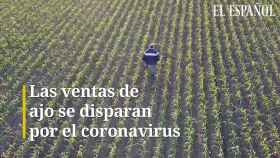 Las ventas de ajo se disparan por el coronavirus