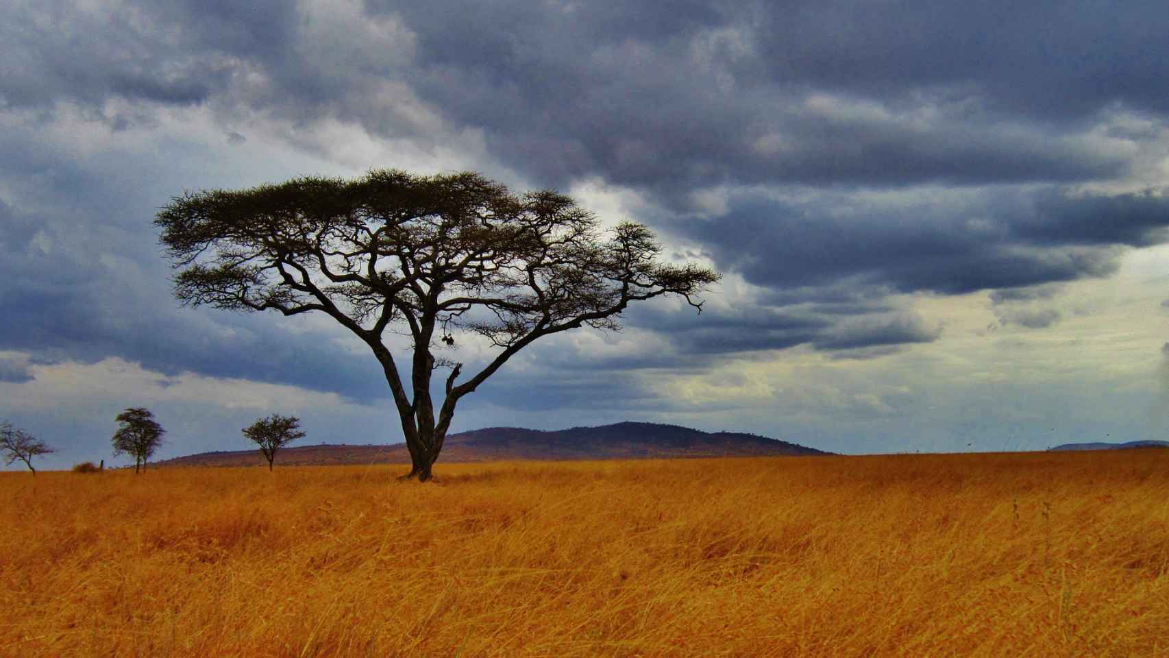 Vivir la naturaleza salvaje en su pleno esplendor en África