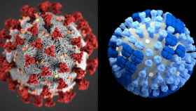 El coronavirus (izquierda) y el virus de la gripe estacional.