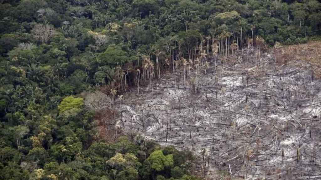 Fotografía de un terreno de selva deforestado, en el Parque Nacional Natural Tinigua, en Colombia.