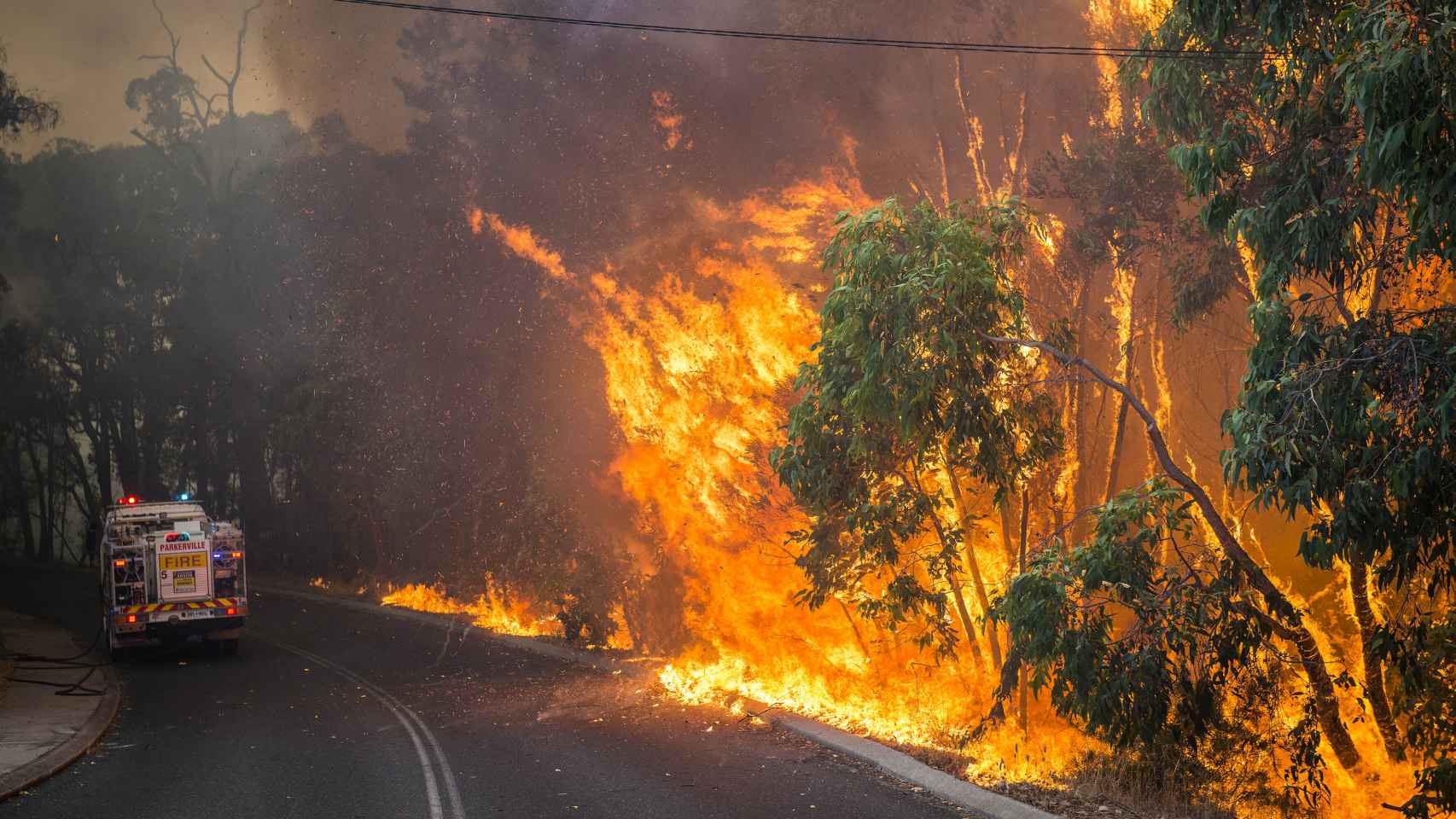 Un incendio forestal en Australia en enero de 2014.