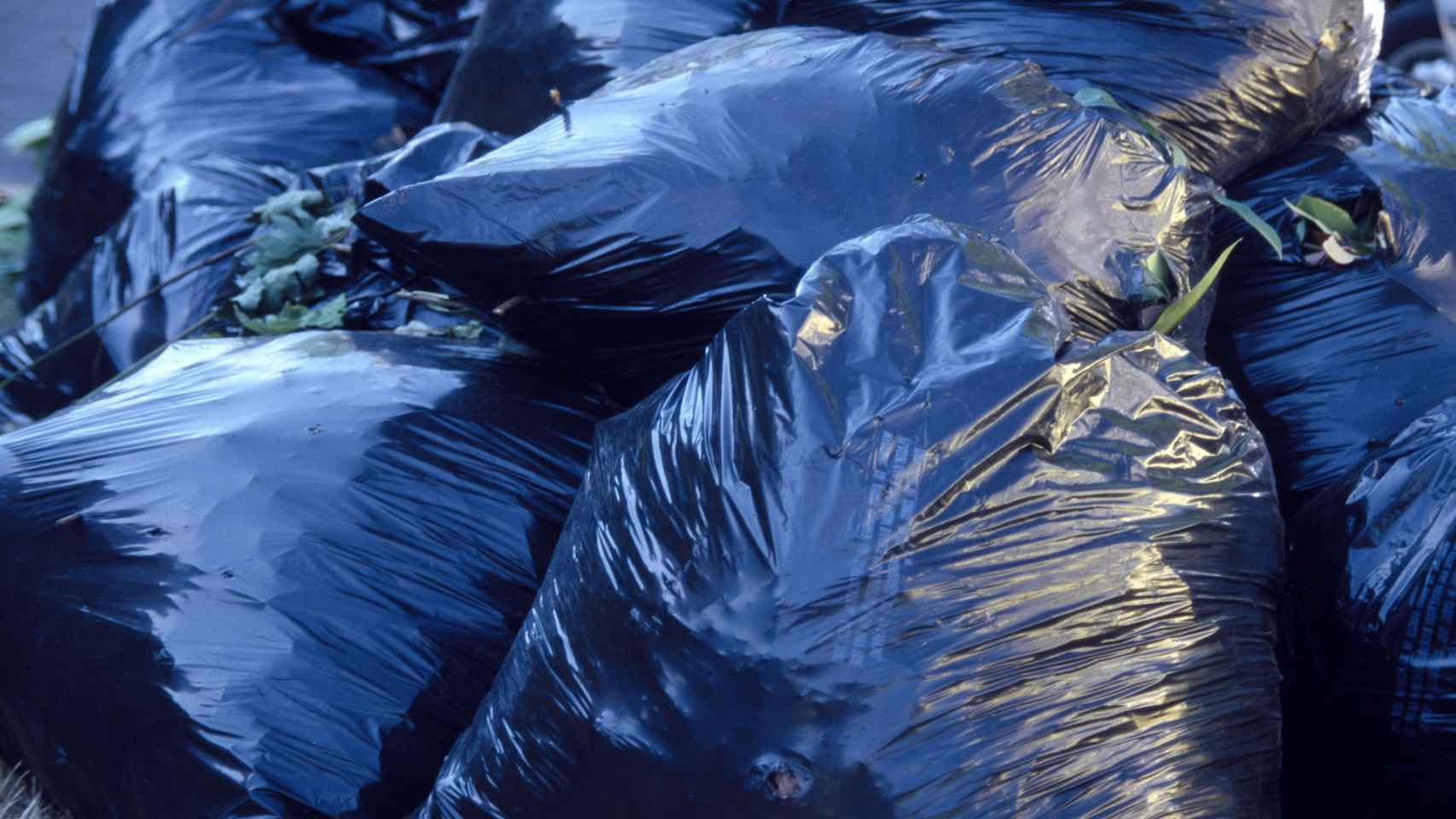 El sinsentido de usar bolsas de plástico para echar la basura: así puedes  evitarlo
