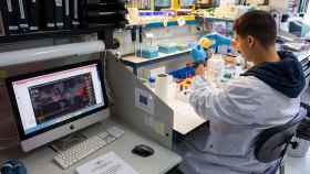 Científicos australianos descubren la defensa inmunológica ante el COVID-19