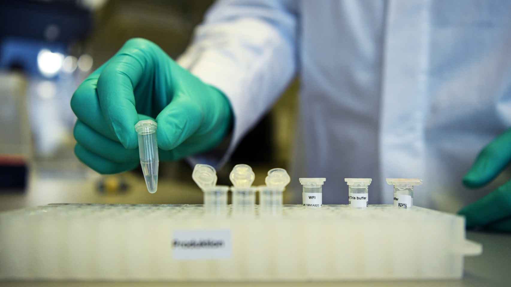 España se apunta a la carrera por hallar la vacuna para el coronavirus: 30 millones para investigación