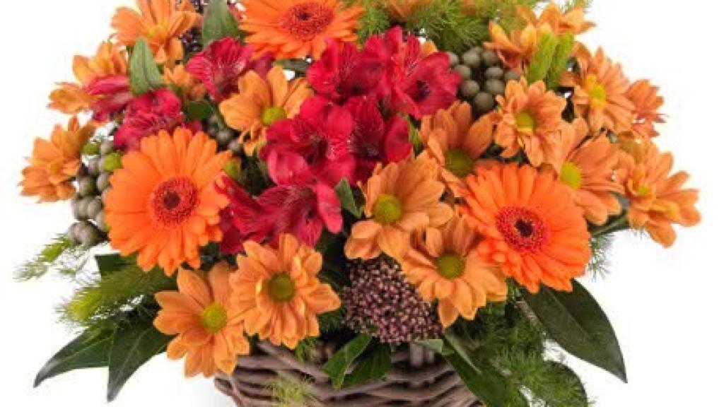 Las flores también pueden mejorar la productividad durante el teletrabajo.