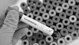 Imagen de archivo del coronavirus.
