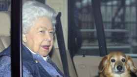 Isabel II junto a sus corgis de camino a Windsor.