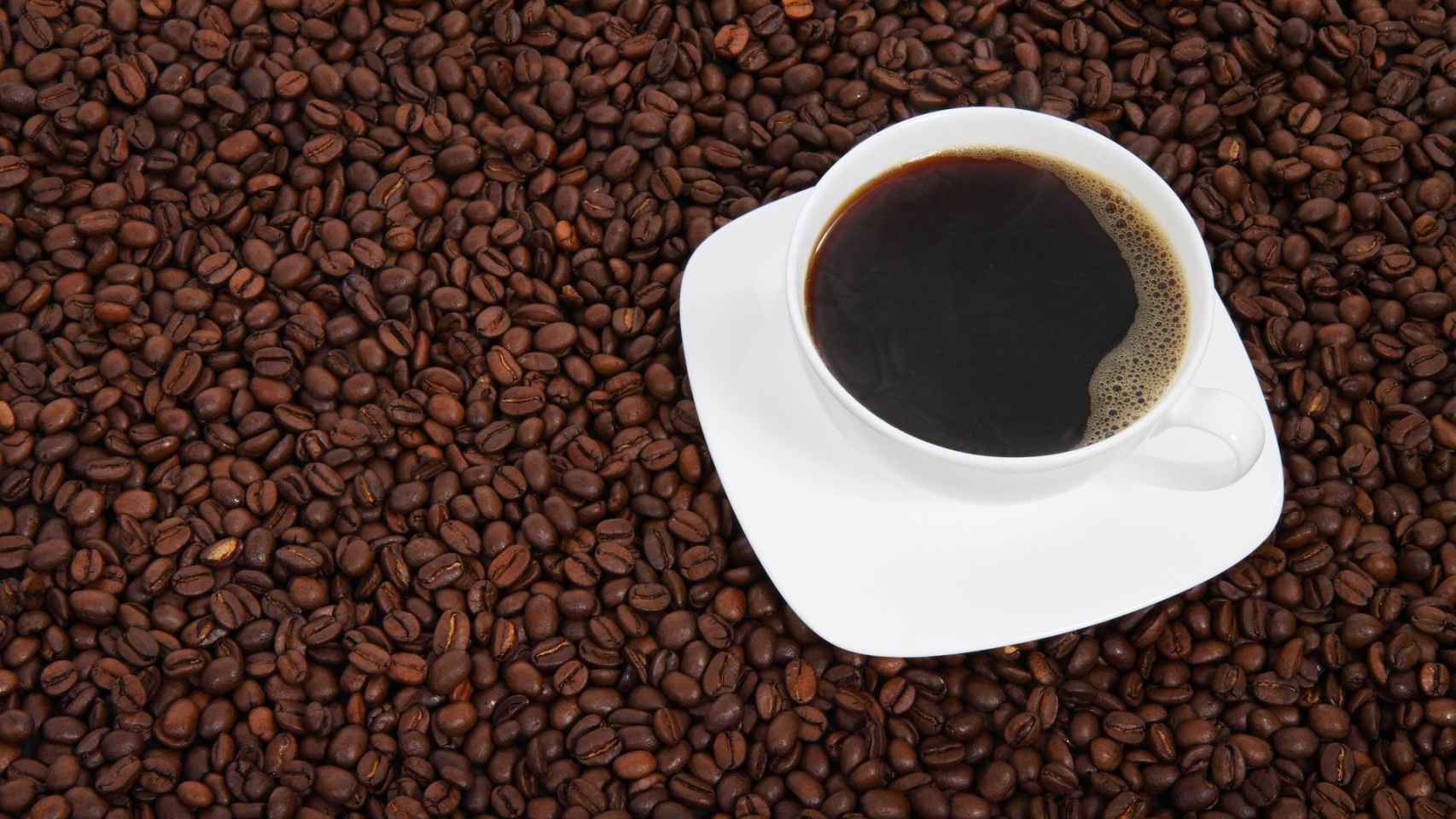 Qué diferencia hay entre café de tueste natural, torrefacto y mezcla?