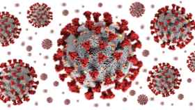 Lecciones de la pandemia del coronavirus: ¿aplanar la curva no es suficiente?