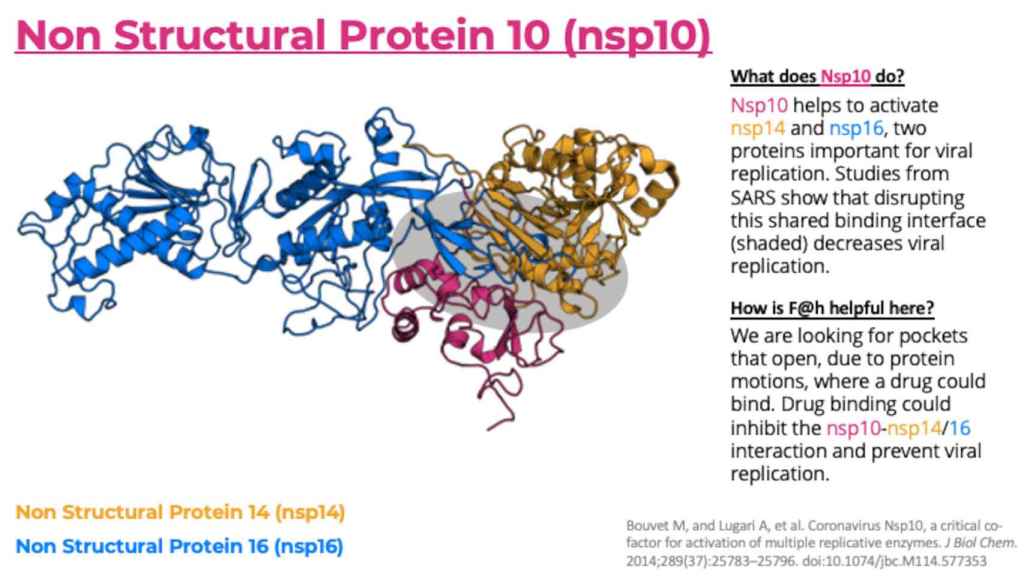 Las proteínas nsp10 (rosa) nsp14 (amarillo) y nsp16 (azul) del coronavirus