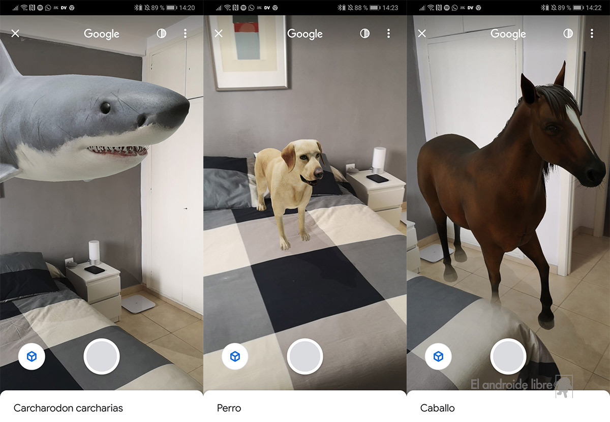 Animales 3D iPhone: cómo mostrar los animales de Google en tu terminal