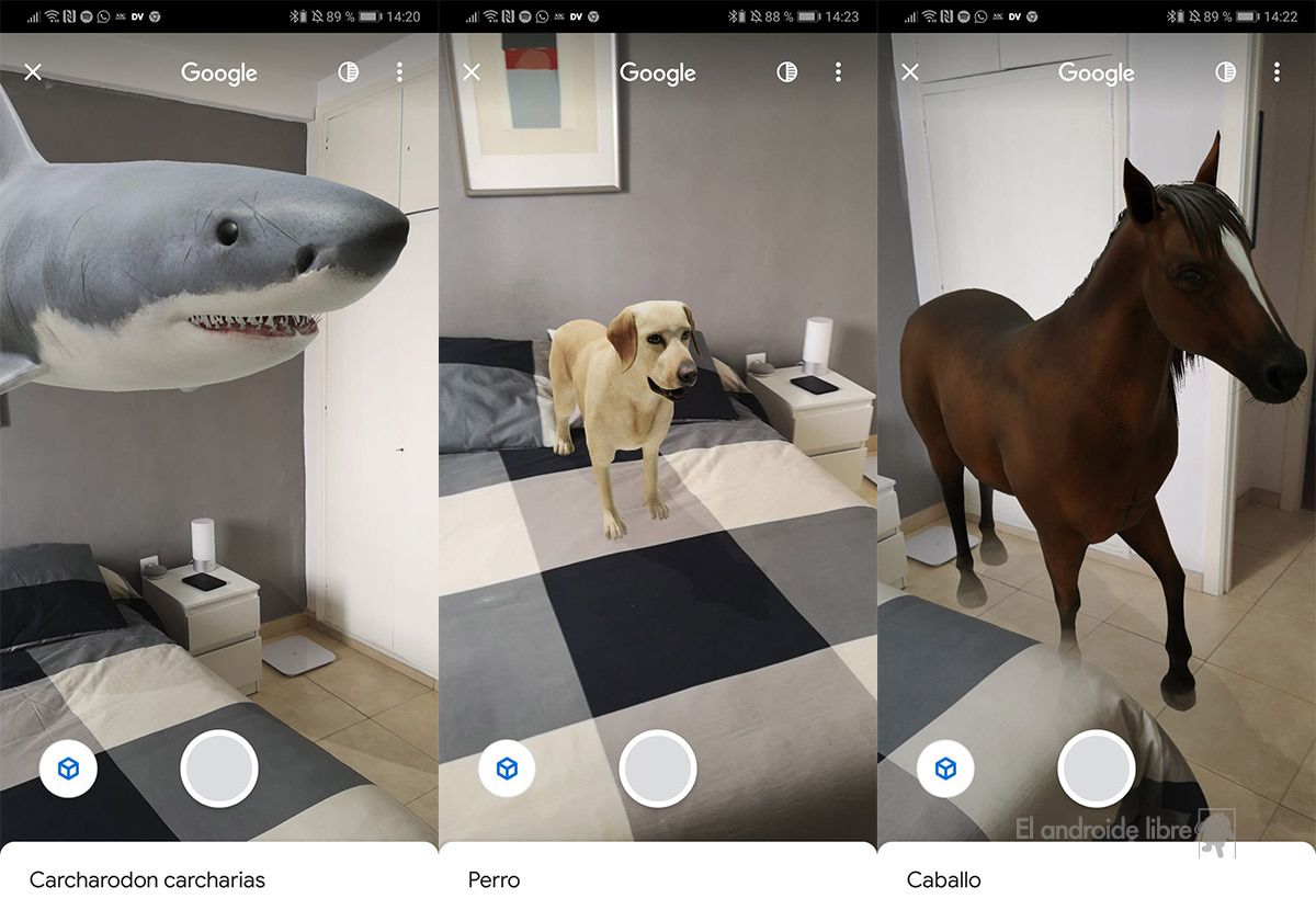 Si tienes estos smartphones, puedes ver animales 3D de Google en tu propia  casa