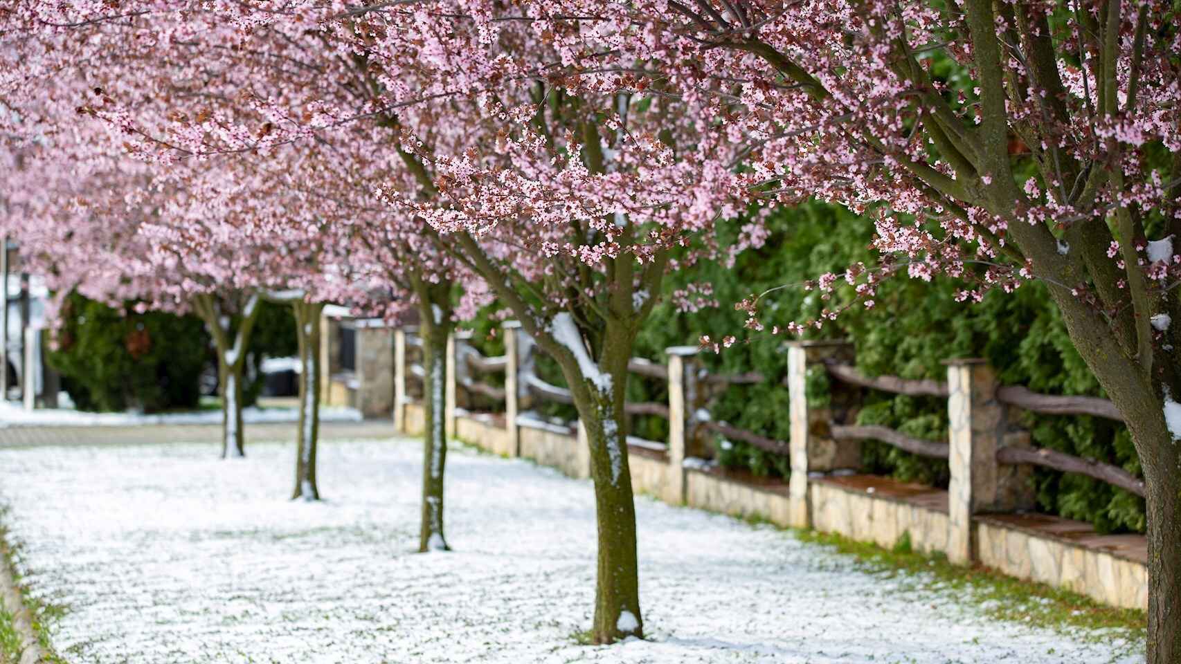 Nieve en primavera. EFE/EPA