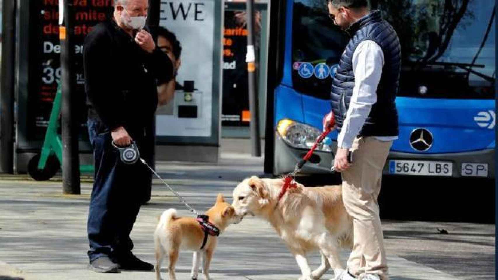 Dos hombres pasean a su perros en Madrid./