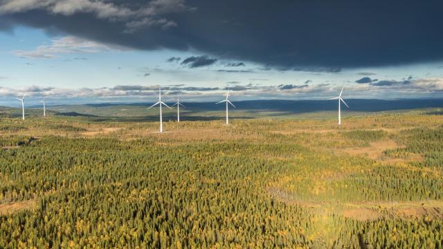 Parque eólico de Siemens Gamesa en Suecia.
