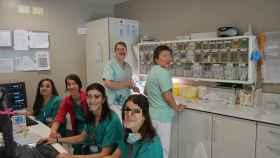 Imagen de archivo de un grupo de estudiantes de Enfermería en el hospital Gregorio Marañón.