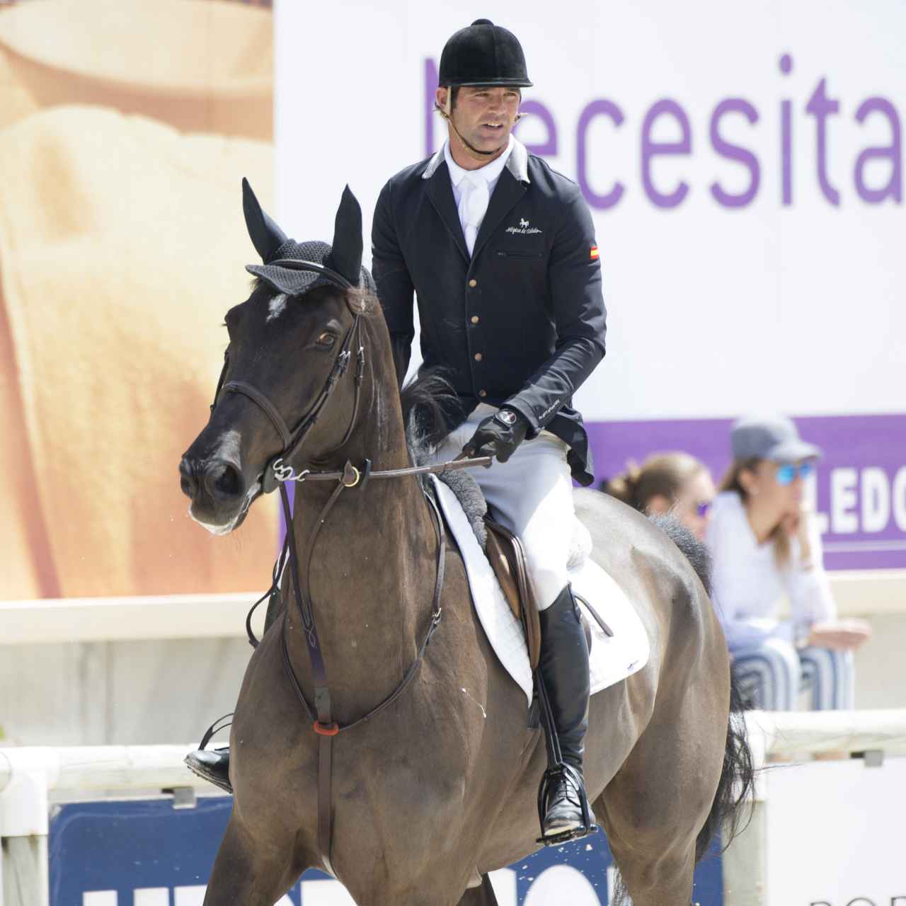 José Bono Rodríguez está a cargo de los 73 caballos que se encuentran actualmente en su hípica de Toledo.