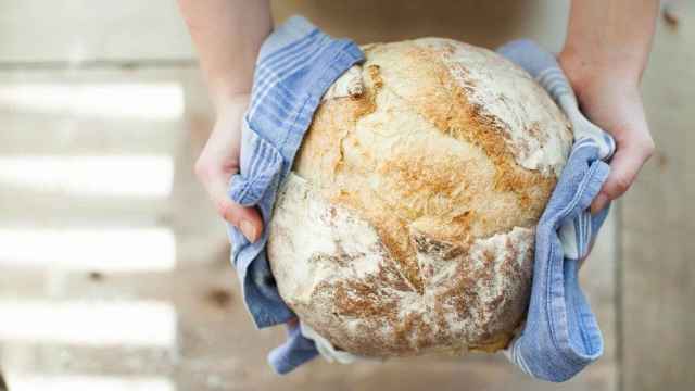 Levadura de panadería, levadura fresca y levadura Royal: Usos y diferencias