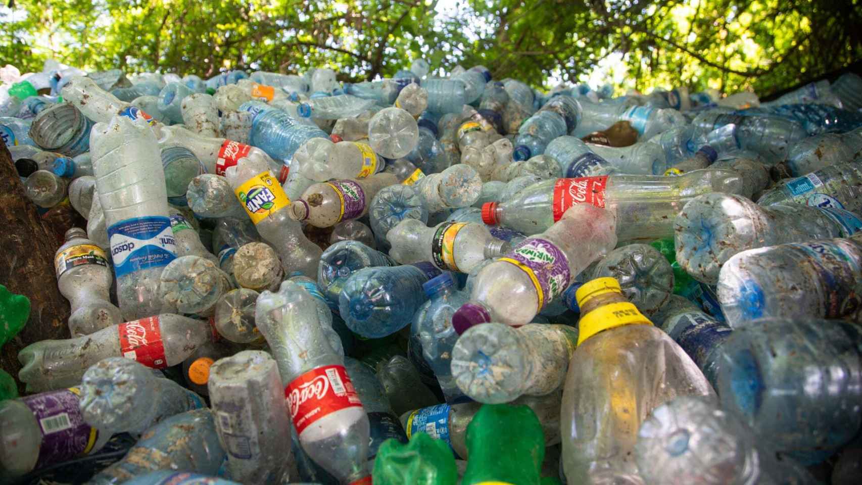 felicidad nativo Realmente Estas son las 4 empresas que generan más basura plástica: podrían cubrir 83  estadios al día