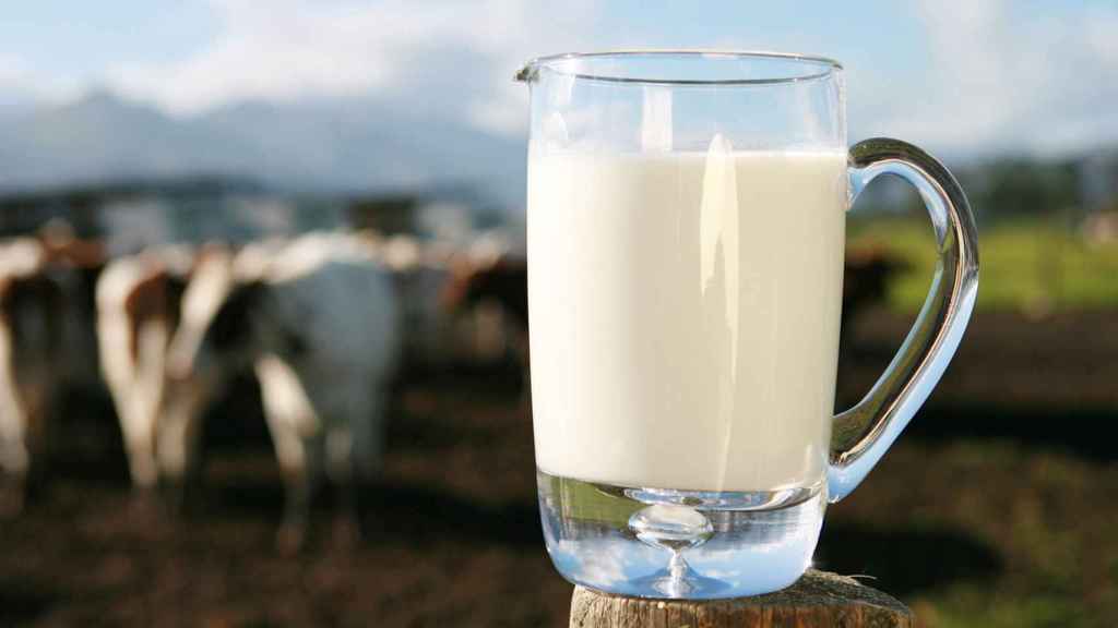 De una vez por todas, ¿realmente es tan mala la leche de vaca como la pintan?