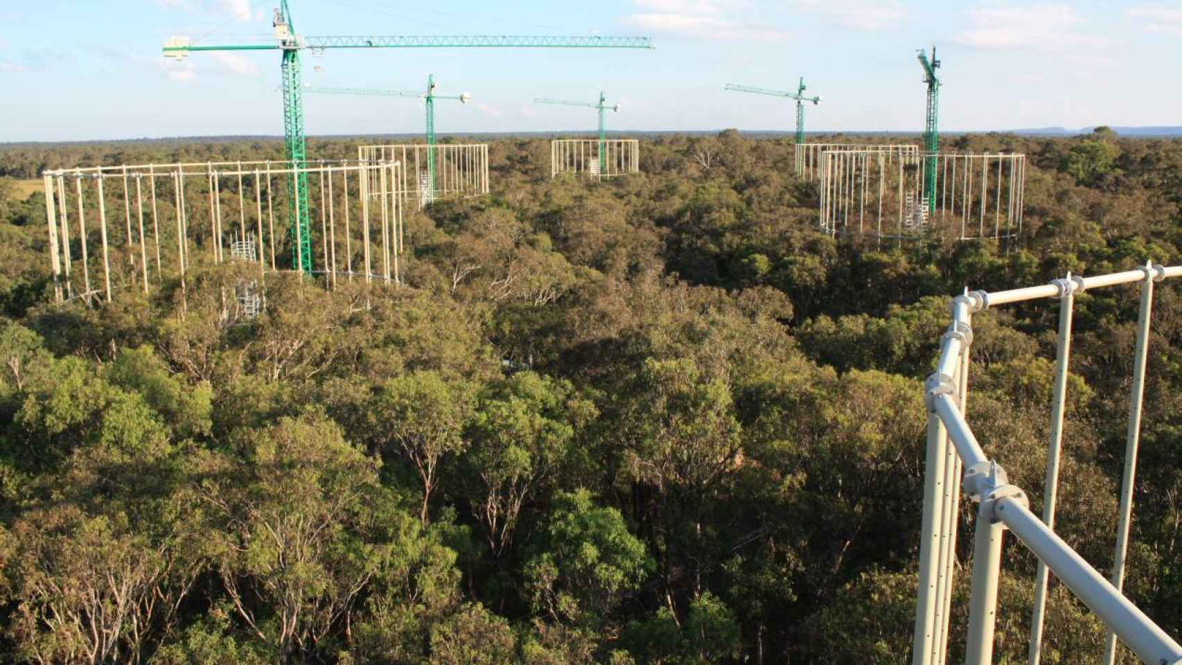 Vista aérea del experimento realizado en el bosque australiano.