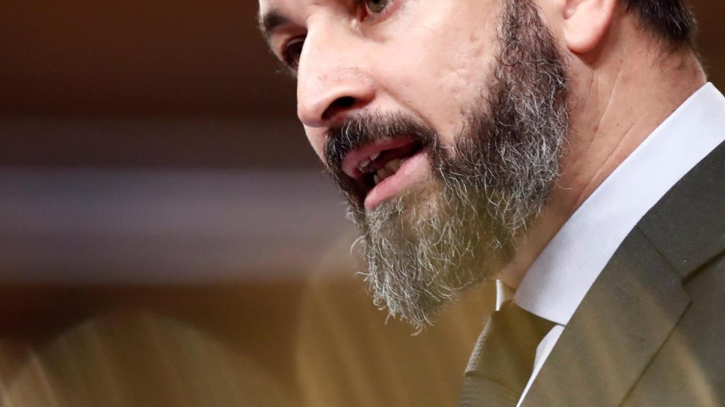 Santiago Abascal, presidente de Vox, en el Congreso de los Diputados.