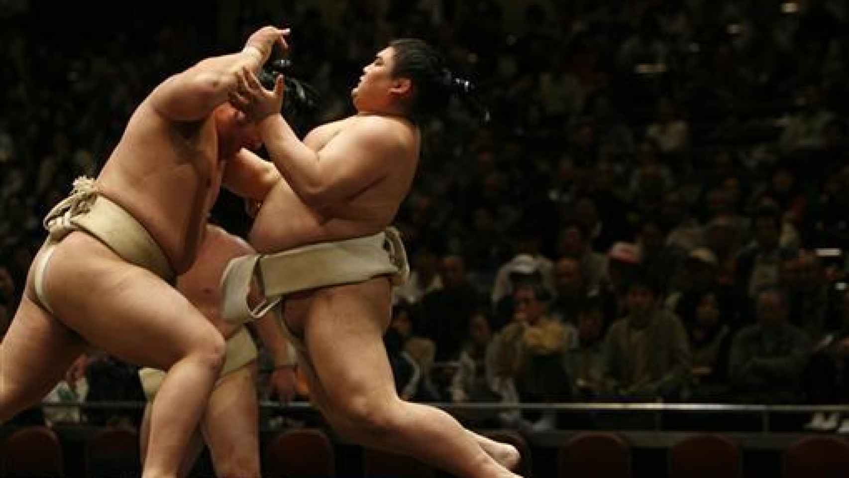 Dos luchadores de sumo