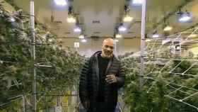 Mike Tyson y su imperio de la marihuana a través de su rancho