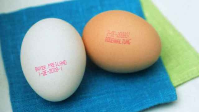Etiquetado en cáscaras de huevos.