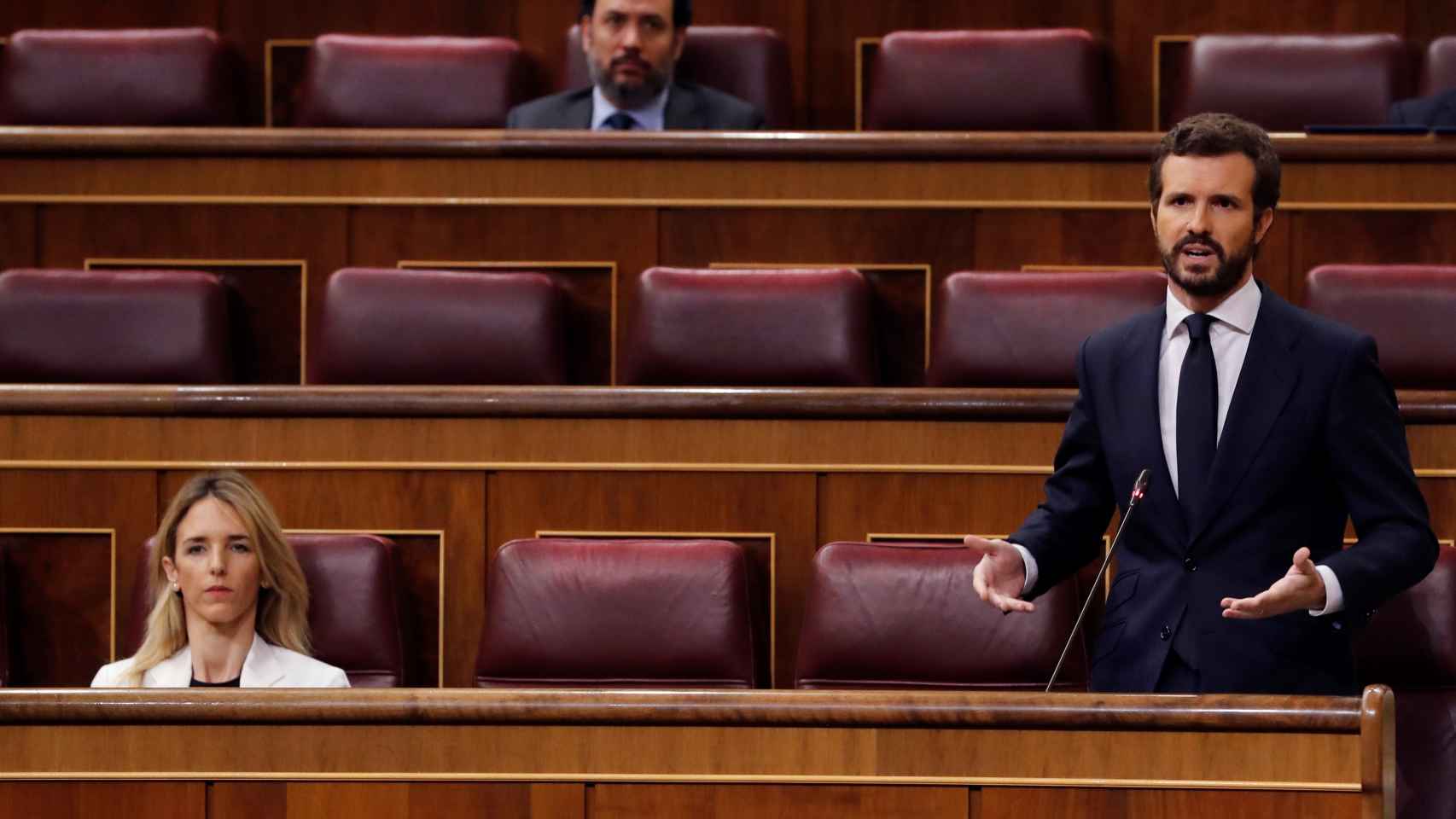 Pablo Casado, presidente del PP, en la sesión de control al Gobierno de este miércoles.