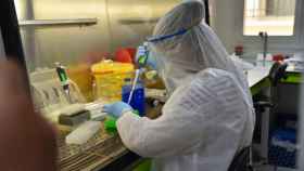 Pruebas contra el coronavirus en el Instituto Pasteur de Túnez.