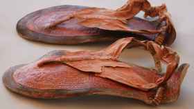 Imagen de las sandalias de cuero descubiertas.