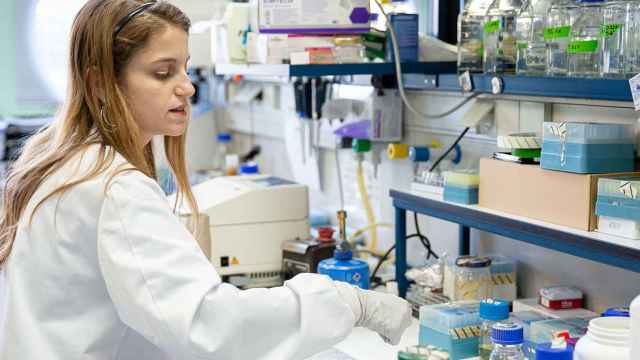 Una investigadora trabajando en el laboratorio de coronavirus del CNB-CSIC.