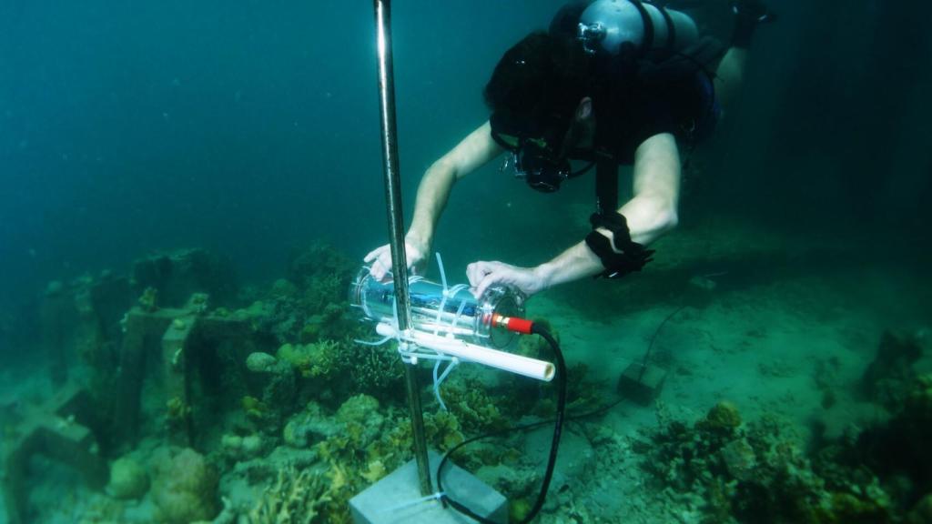 Project CORaiL