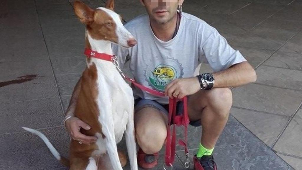 Mario tiene un galgo como mascota al que llama 'Kayma', una palabra turca que significa 'desliz'.