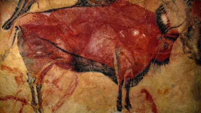 El famoso bisonte de las cuevas de Altamira.