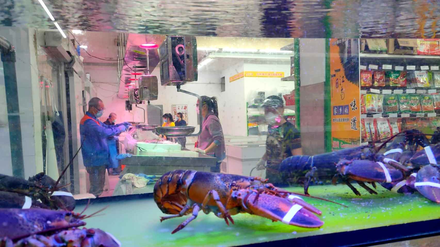 Un acuario con bogavantes en el interior del supermercado chino.