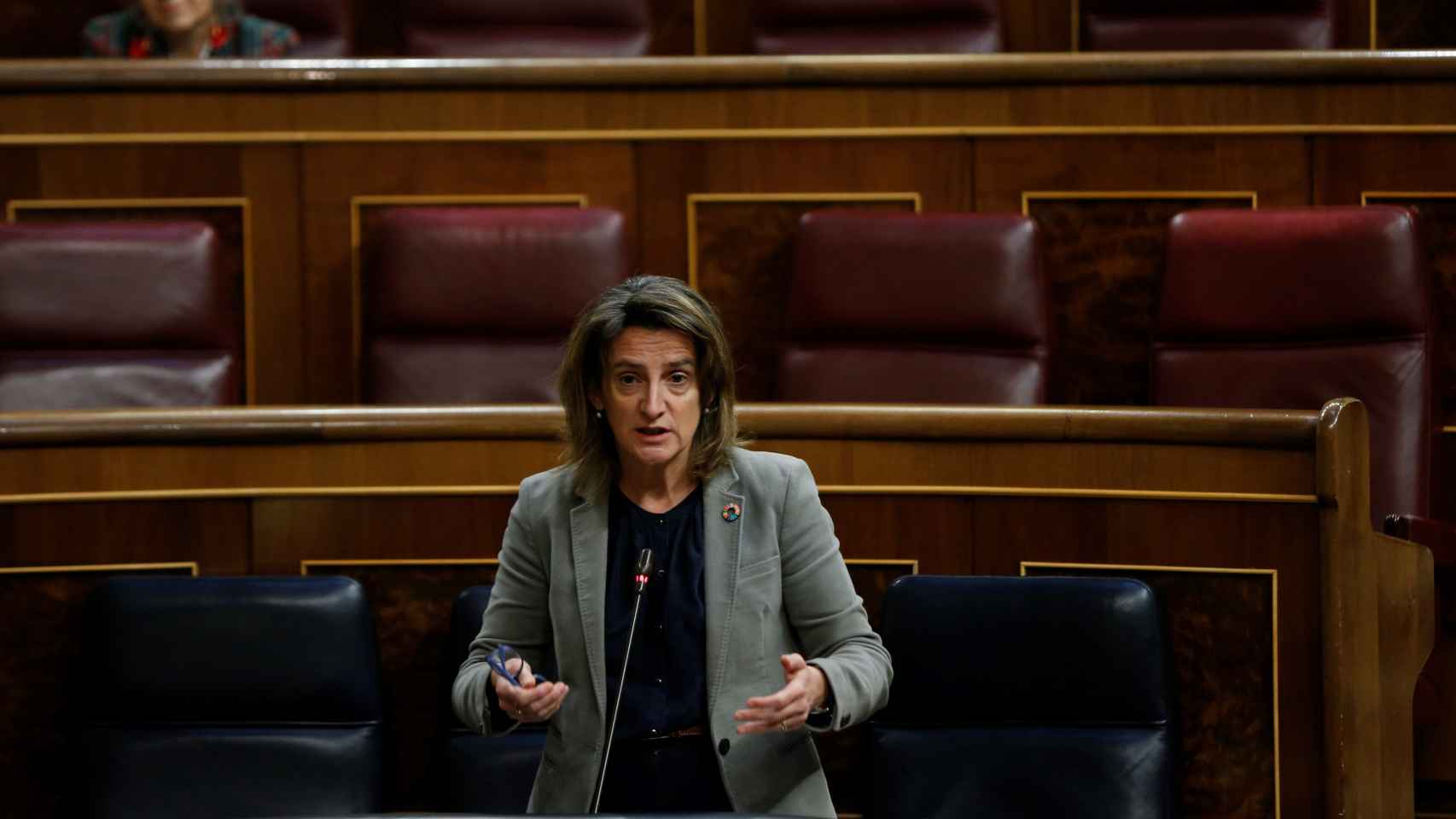 Teresa Ribera, vicepresidenta cuarta del Gobierno, en el Congreso de los Diputados.
